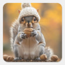 Search for squirrel nuts stickers Wildlife