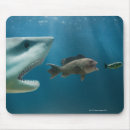 Search for juvenile animals mousepads Nature