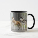 Search for alaskan malamute dog mugs Siberian husky