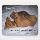 Recherche de sieste tapis souris Humour