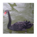 Search for swan tiles Black