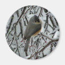 Recherche de touffu magnets Hiver