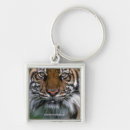 Search for tiger keychains Wild animals