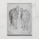 Search for saddle postcards Tack
