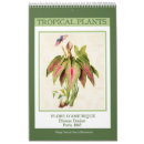 Search for tropical flowers calendars Plants