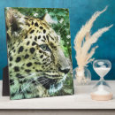 Recherche de leopard plaques Faune