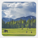 Search for whitefish stickers Usa
