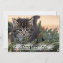 Search for brush script christmas cards Cute