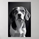 Search for beagle posters Pet