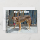 Recherche de canines vœux cartes Faune