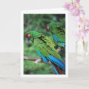 Search for parrot mothers day cards Birds