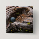 Recherche de séquoia badges Arbres