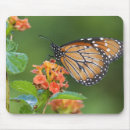 Search for invertebrates mousepads Nature