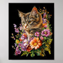 Search for graduation songs Cinco de mayo songs