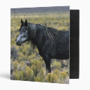 Search for mustang binders Desert