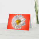 Search for lieb cards For her