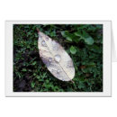 Search for leaf blade Grass