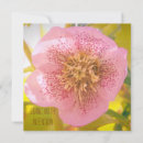 Search for intent Floral