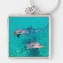 Search for mammals keychains Animals