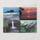 Recherche de collection de cartes postales Hawaii