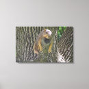 Recherche de paresseux art Mignon