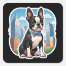 Search for boston terrier cartoon stickers Dog