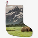 Search for bear christmas stockings Wildlife