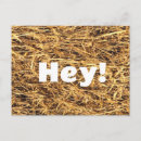 Search for unique hello postcards Funny