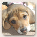 Search for beagles barware Pets