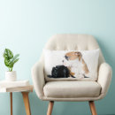 Search for old tyme Cute baby animal