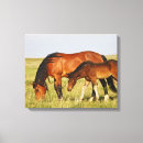 Recherche de poney impressions sur toile Poulain