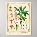 Search for february posters Vintage
