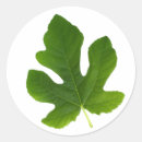 Search for leaf background stickers Plant