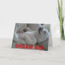 Search for big dreams cards Dog