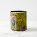 Recherche de automne tasses Animaux