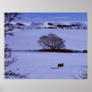Search for low temperature posters Horizontal