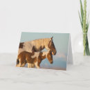 Search for big sister cards Animal