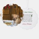Search for puggle cards Cute