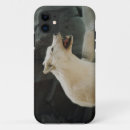 Search for guide iphone cases Spiritual