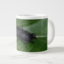 Search for beetles mugs Coleoptera