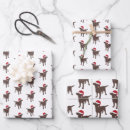 Search for chocolate lab wrapping paper Ricaso