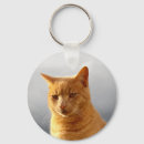 Search for ginger cat keychains Cute