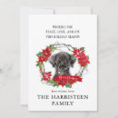 Search for black labrador christmas cards Watercolor