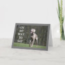 Search for dog walker cards Friend