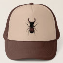 Search for beetle hats Bug