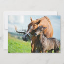 Search for colt postcards Stable