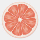 Search for grapefruit stickers Fruity