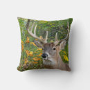 Recherche de buck coussins Chasseur