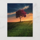 Search for red hill postcards Clouds