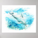 Recherche de peinture de dauphin posters Vie marine